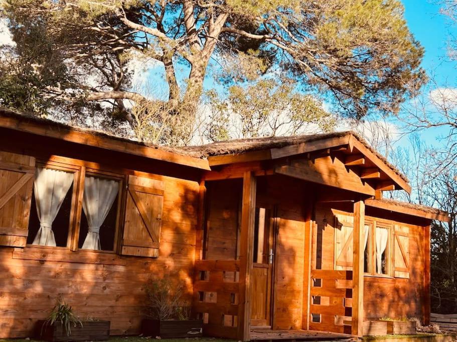 Chalet Bois Jacuzzi Bessan Εξωτερικό φωτογραφία